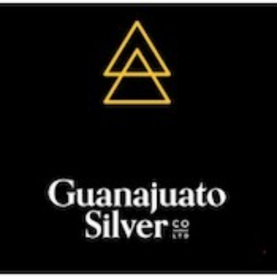 Guanajuato Silver Co Ltd. Logo