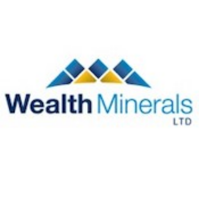 Wealth Minerals Ltd. Logo