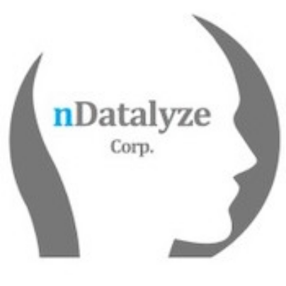 nDatalyze Corp. Logo
