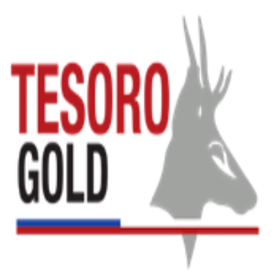 Tesoro Gold Ltd. Logo